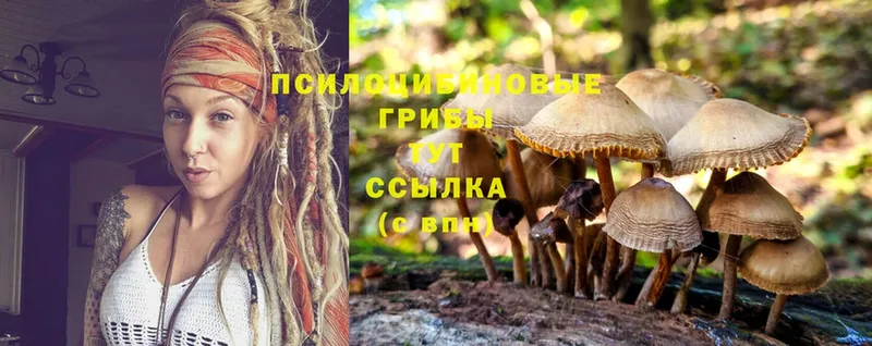 мега ССЫЛКА  Ковылкино  Псилоцибиновые грибы Magic Shrooms  купить  сайты 